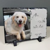 Granit ze zdjęciem Pamiątka po stracie psa